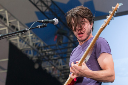the wombats